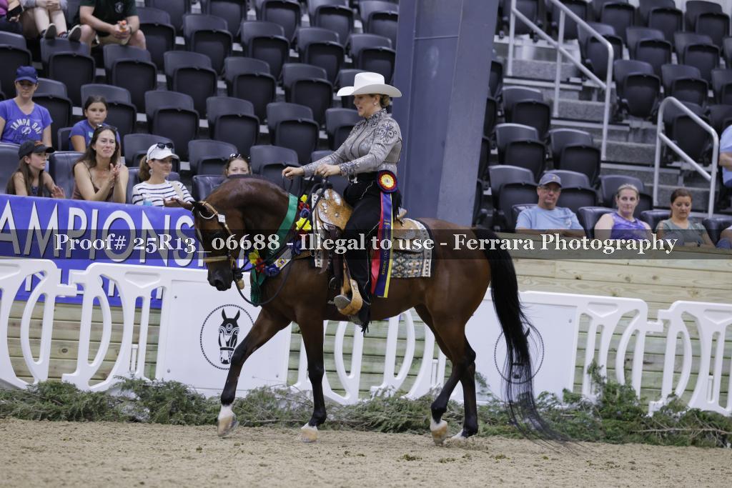 Proof Number 25R13_06688