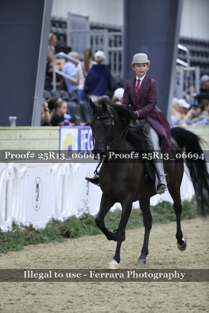 Proof Number 25R13_06694
