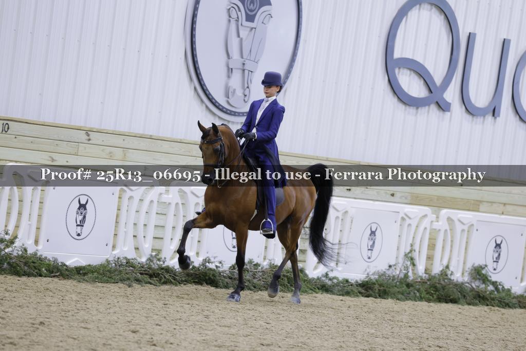 Proof Number 25R13_06695