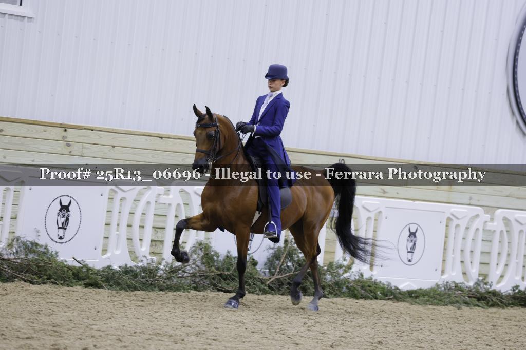 Proof Number 25R13_06696
