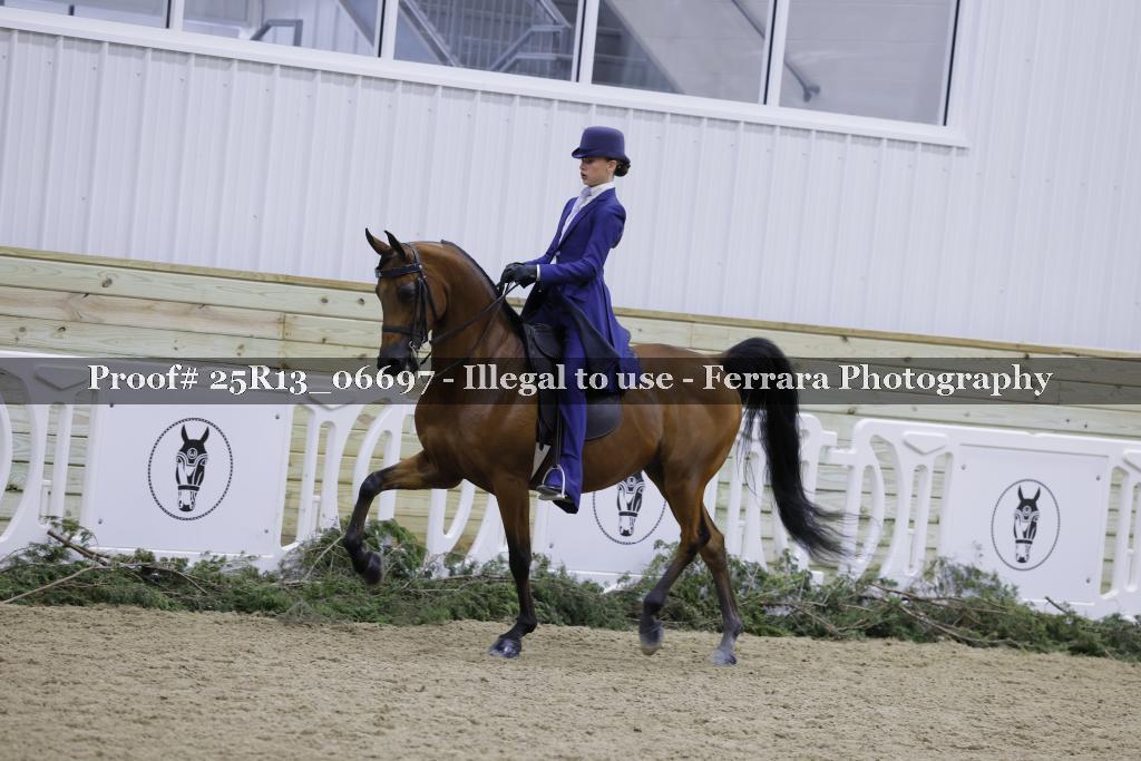 Proof Number 25R13_06697