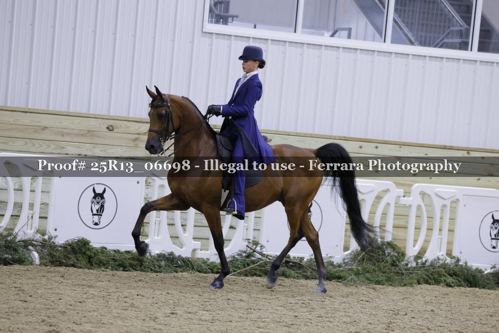 Proof Number 25R13_06698