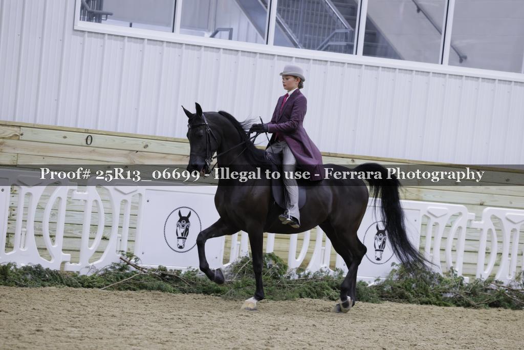 Proof Number 25R13_06699
