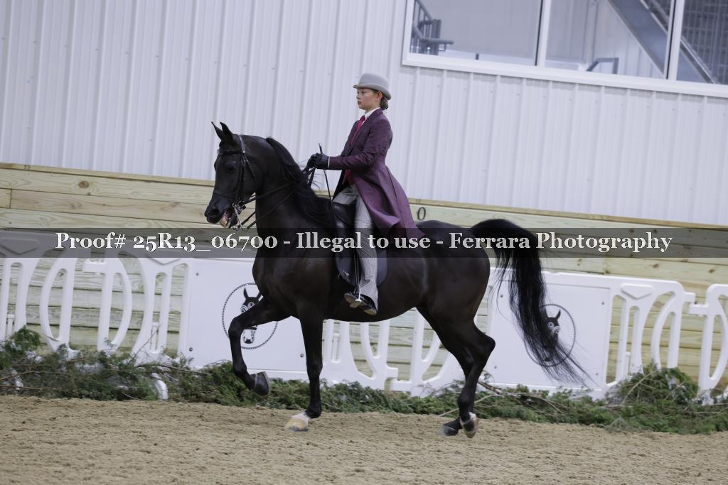 Proof Number 25R13_06700
