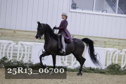 25R13_06700 thumbnail