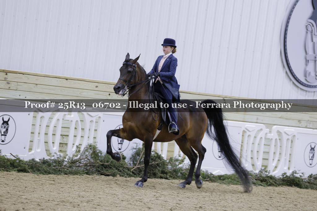 Proof Number 25R13_06702