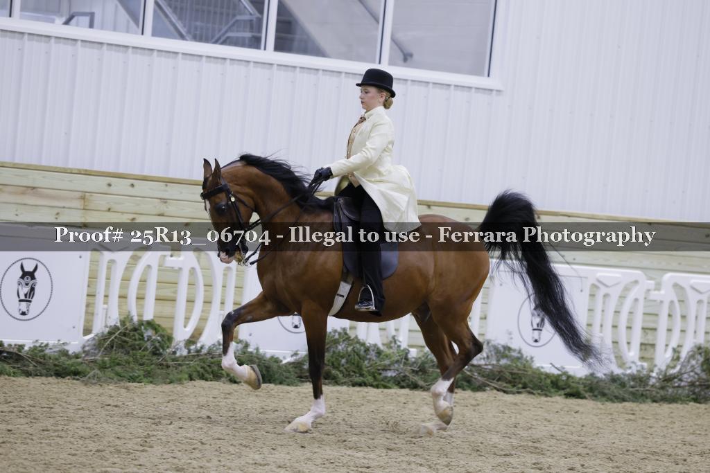 Proof Number 25R13_06704