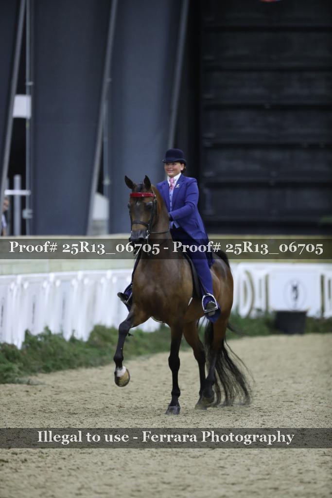 Proof Number 25R13_06705