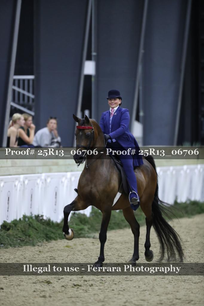 Proof Number 25R13_06706