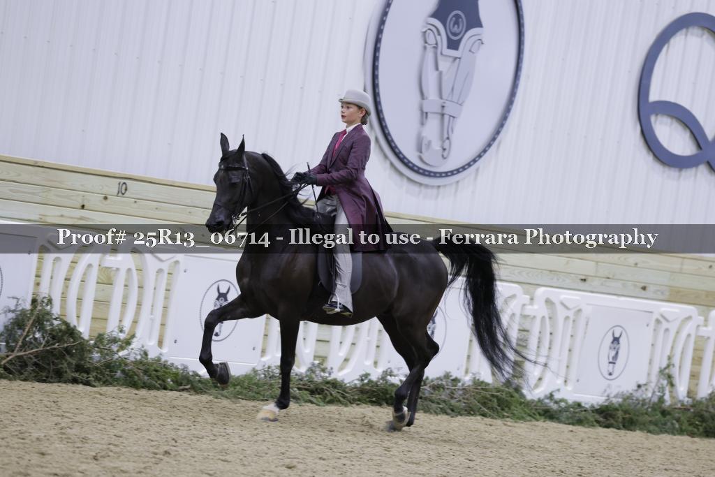 Proof Number 25R13_06714