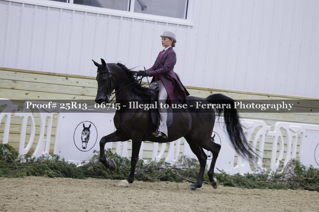 Proof Number 25R13_06715