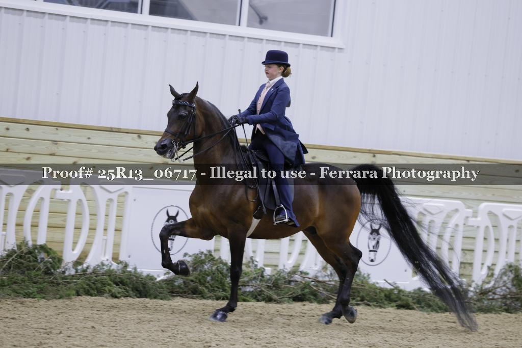 Proof Number 25R13_06717