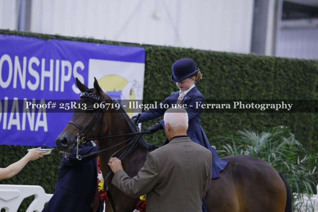 Proof Number 25R13_06719