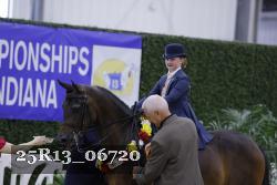 25R13_06720 thumbnail