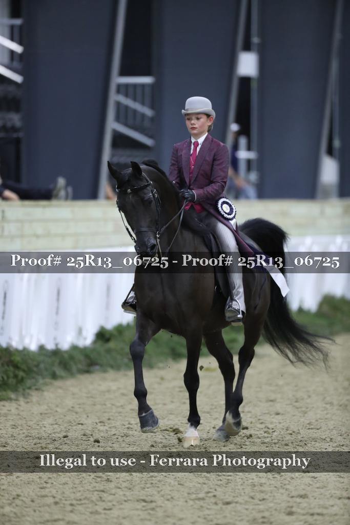 Proof Number 25R13_06725