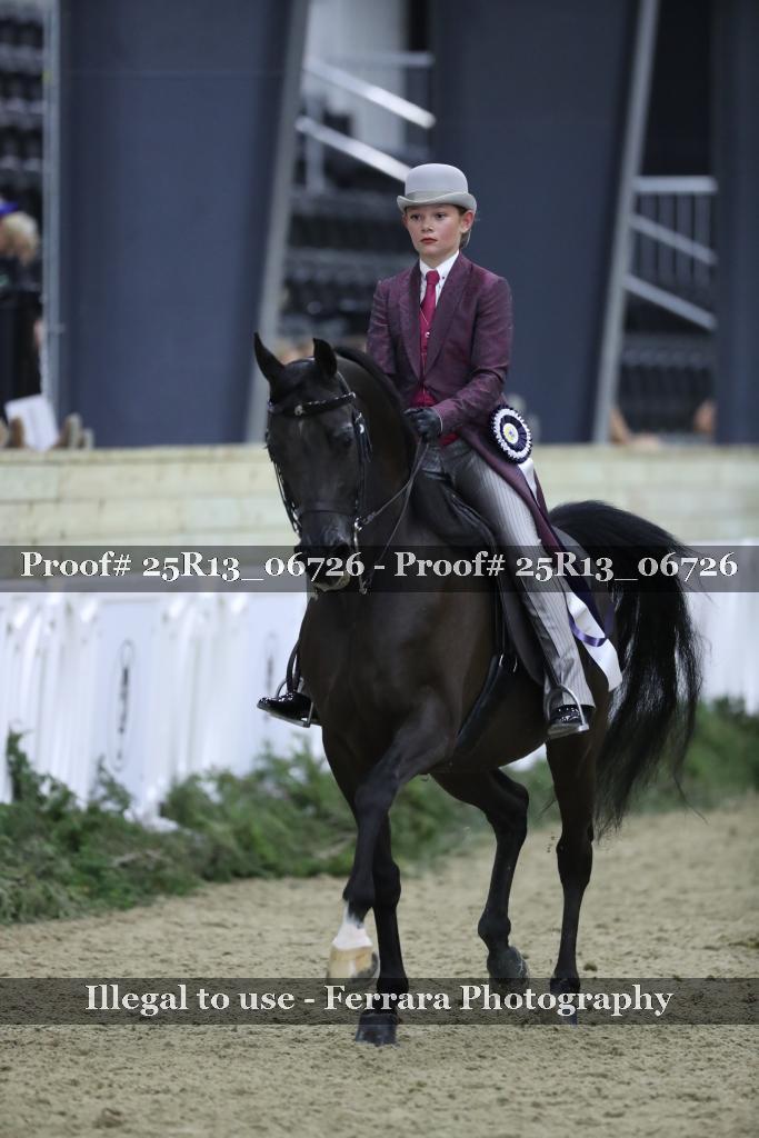 Proof Number 25R13_06726