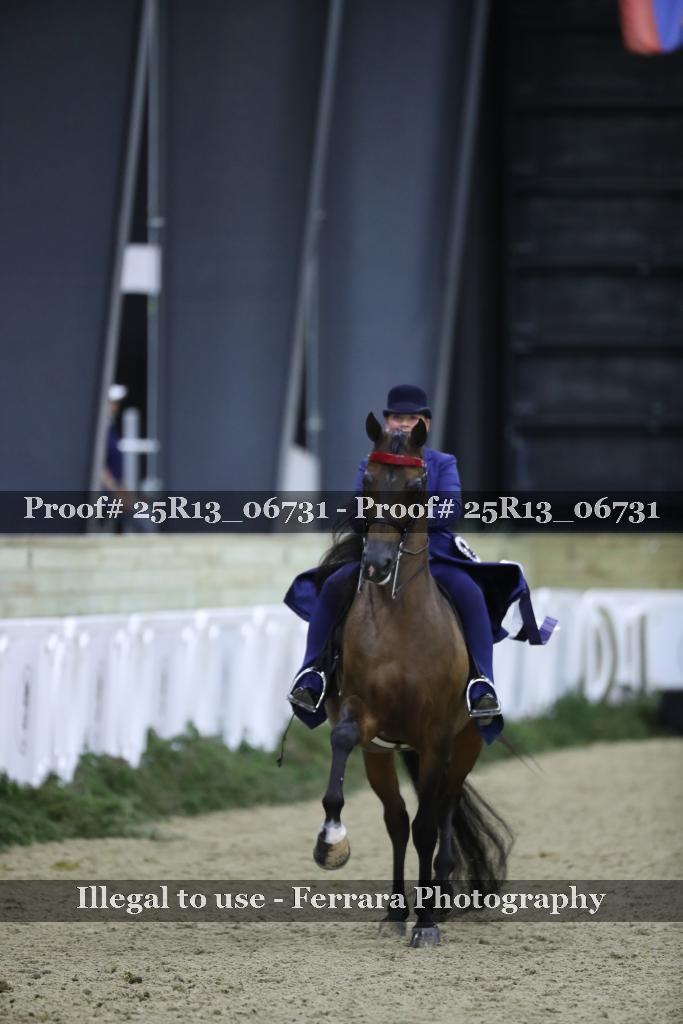 Proof Number 25R13_06731