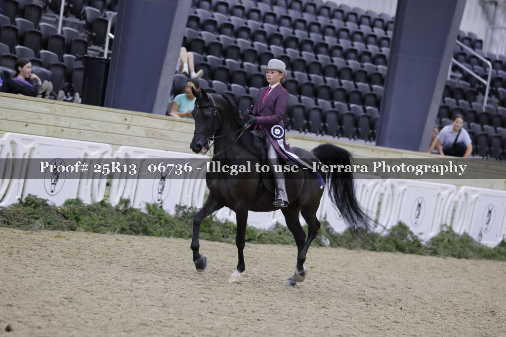 Proof Number 25R13_06736