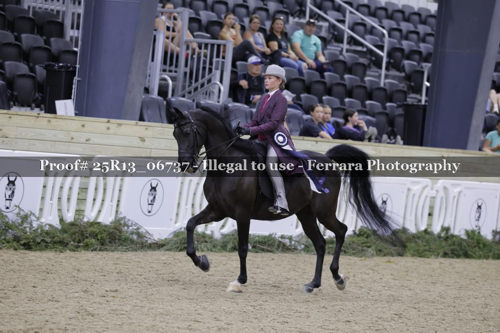 Proof Number 25R13_06737