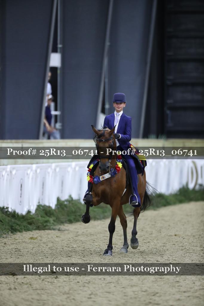 Proof Number 25R13_06741