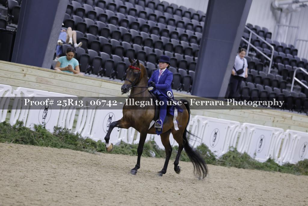 Proof Number 25R13_06742