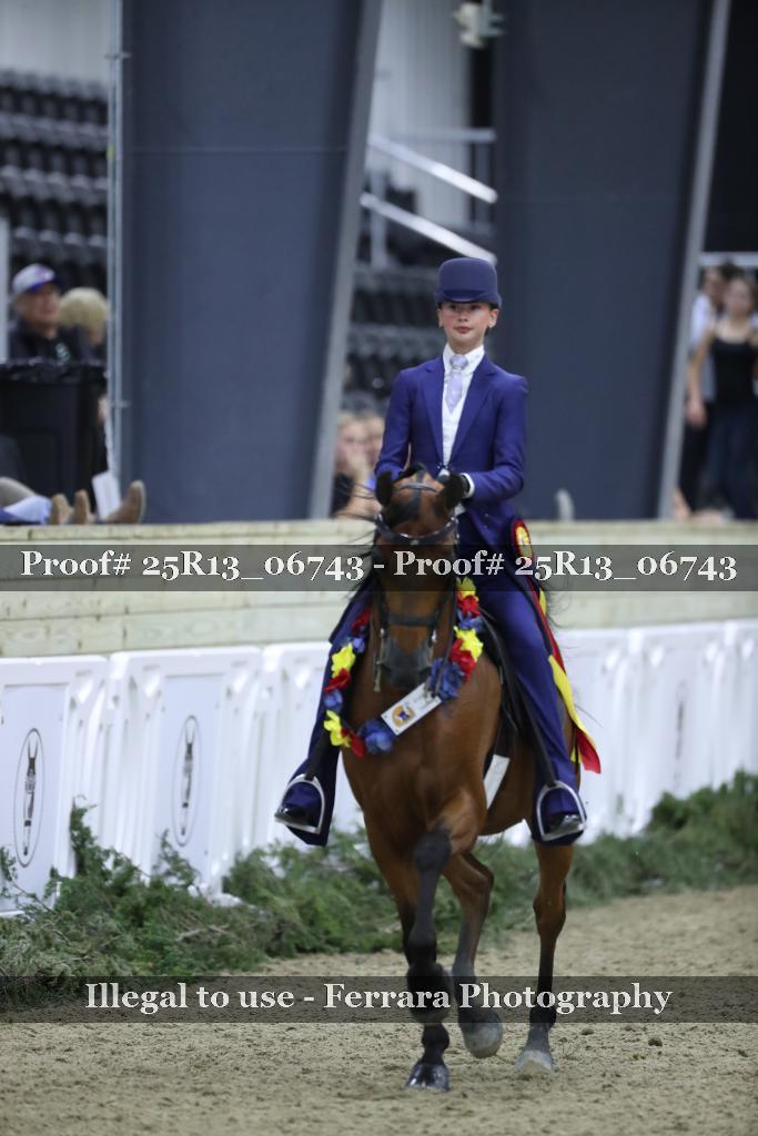 Proof Number 25R13_06743
