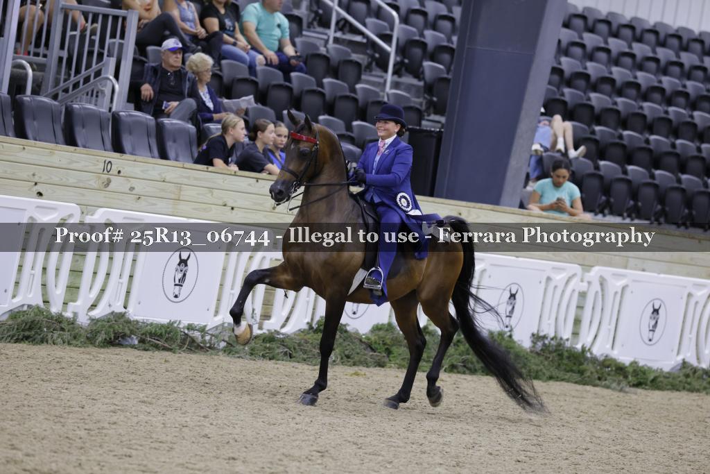 Proof Number 25R13_06744