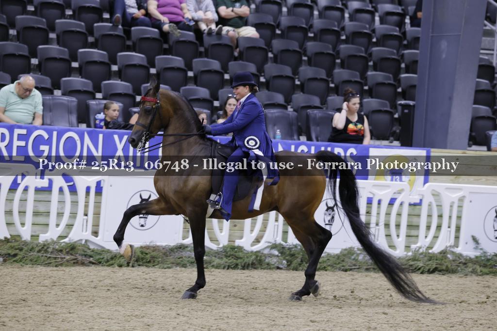 Proof Number 25R13_06748