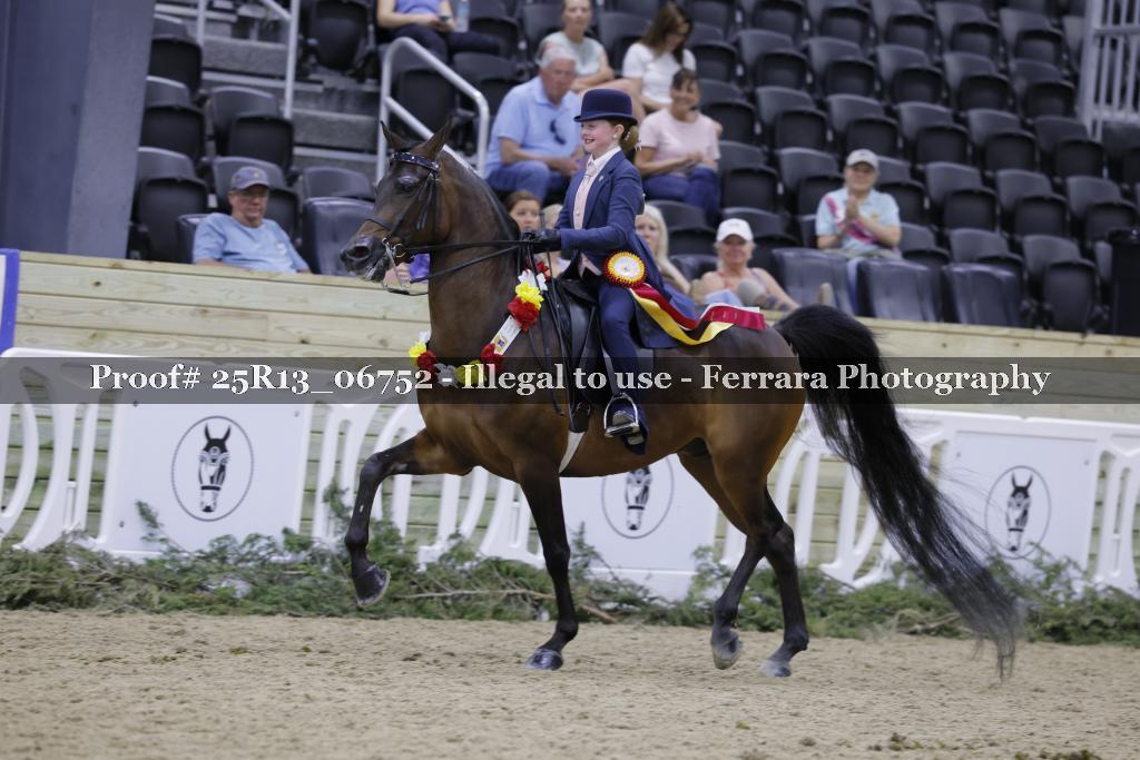 Proof Number 25R13_06752