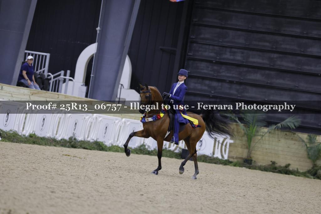 Proof Number 25R13_06757
