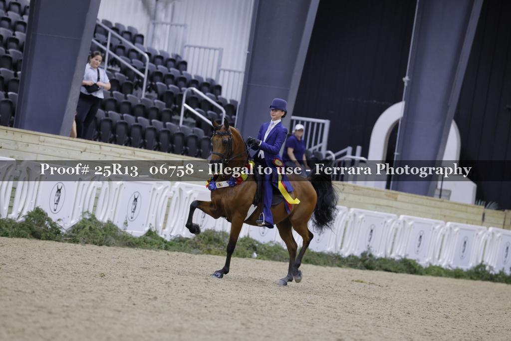 Proof Number 25R13_06758