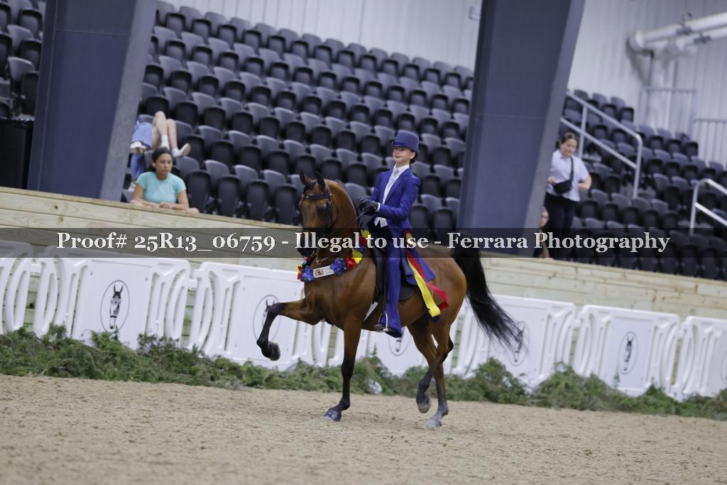 Proof Number 25R13_06759