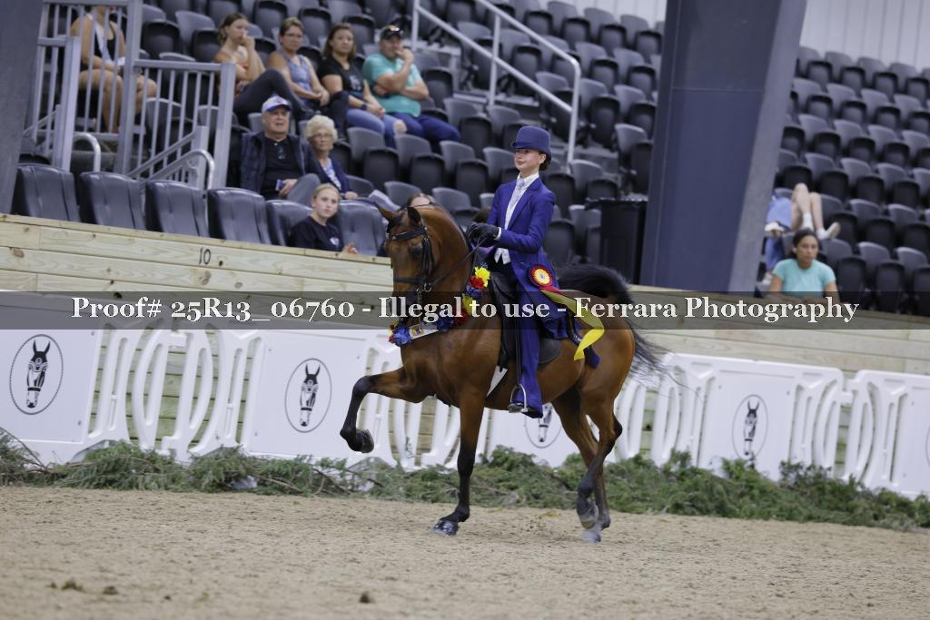 Proof Number 25R13_06760
