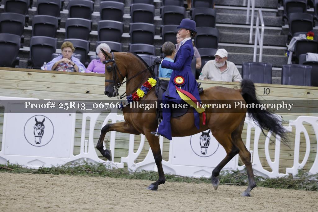 Proof Number 25R13_06766