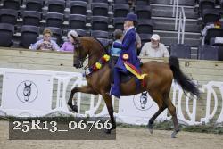 25R13_06766 thumbnail