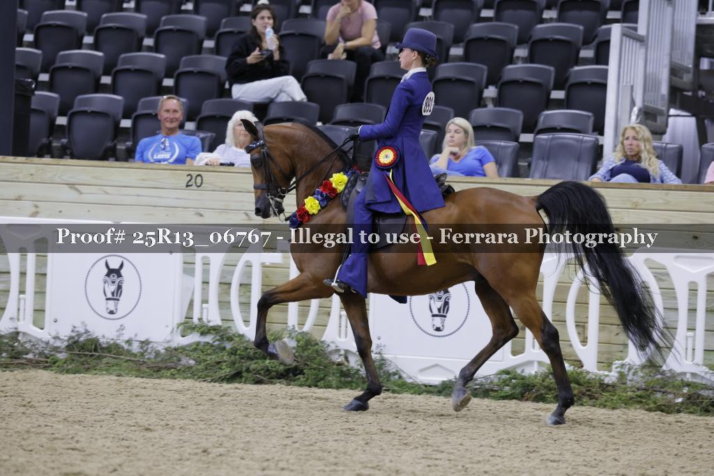 Proof Number 25R13_06767
