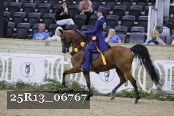 25R13_06767 thumbnail