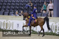 25R13_06768 thumbnail