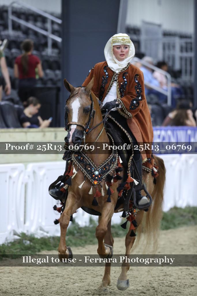 Proof Number 25R13_06769