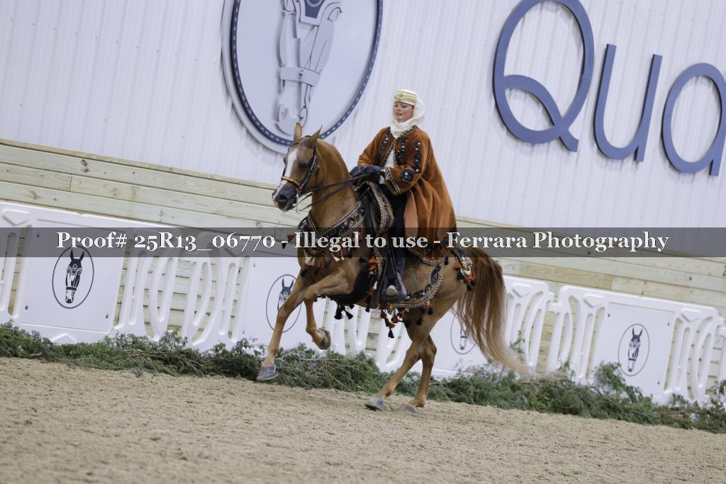 Proof Number 25R13_06770