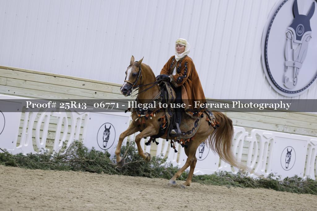Proof Number 25R13_06771
