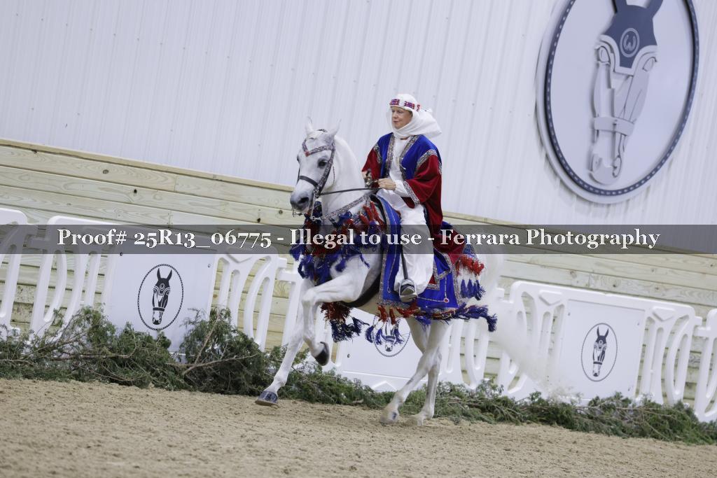 Proof Number 25R13_06775
