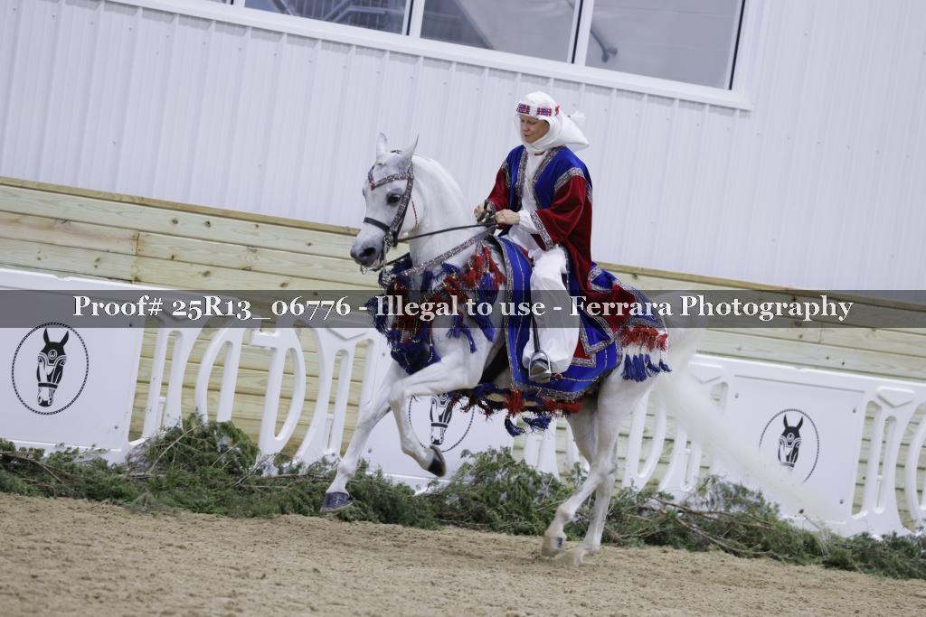 Proof Number 25R13_06776