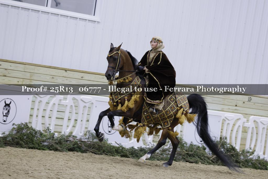 Proof Number 25R13_06777