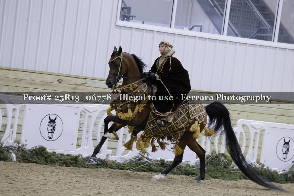Proof Number 25R13_06778