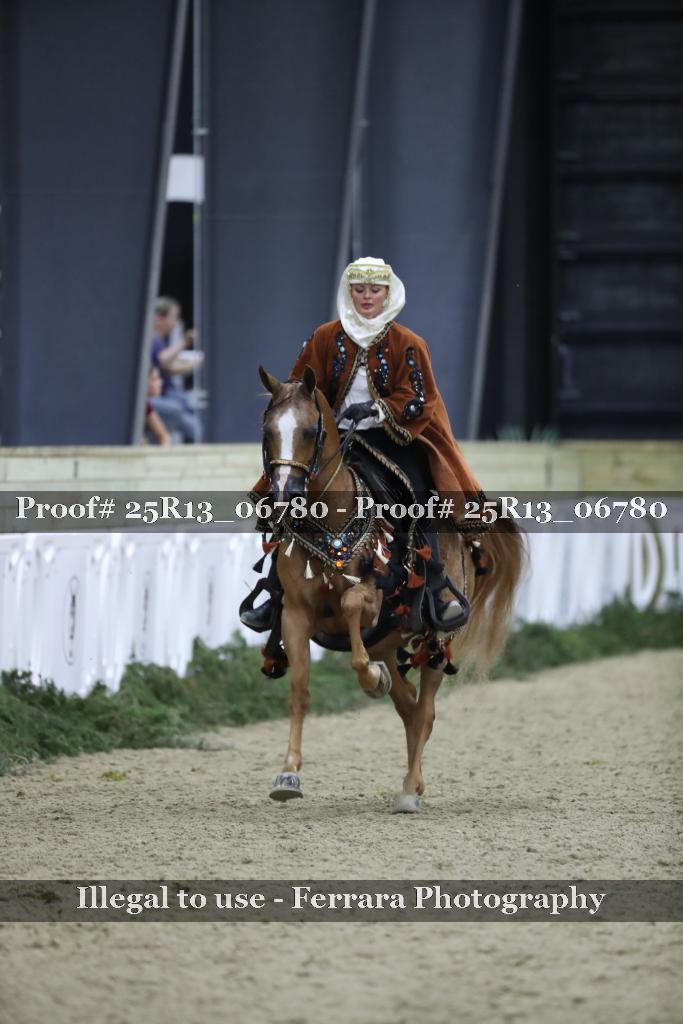 Proof Number 25R13_06780
