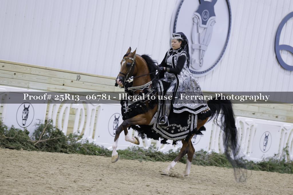 Proof Number 25R13_06781