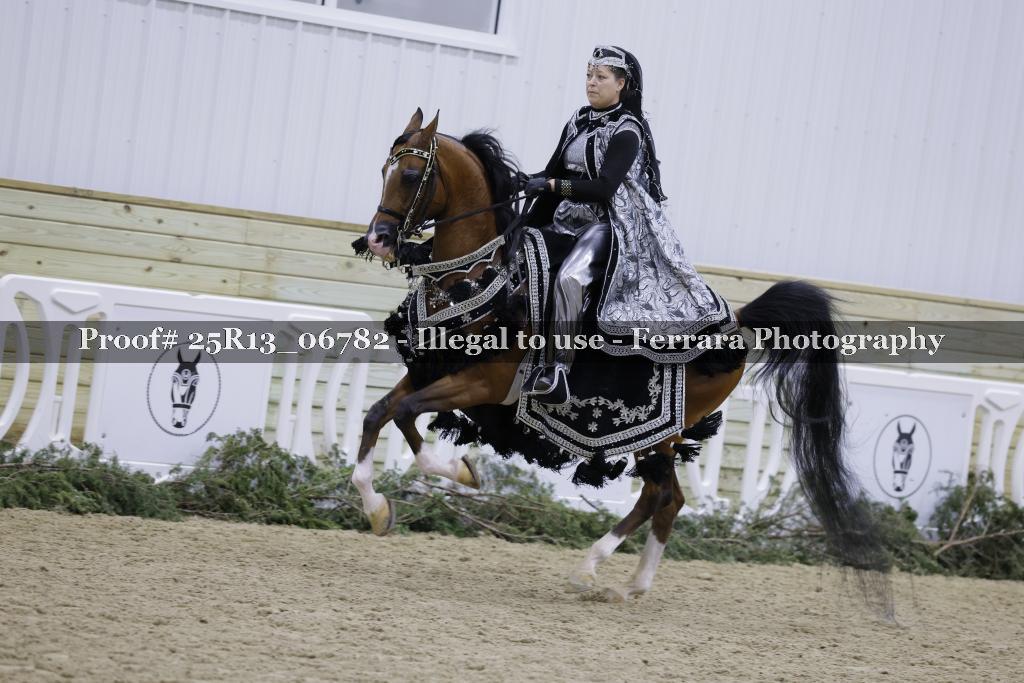 Proof Number 25R13_06782