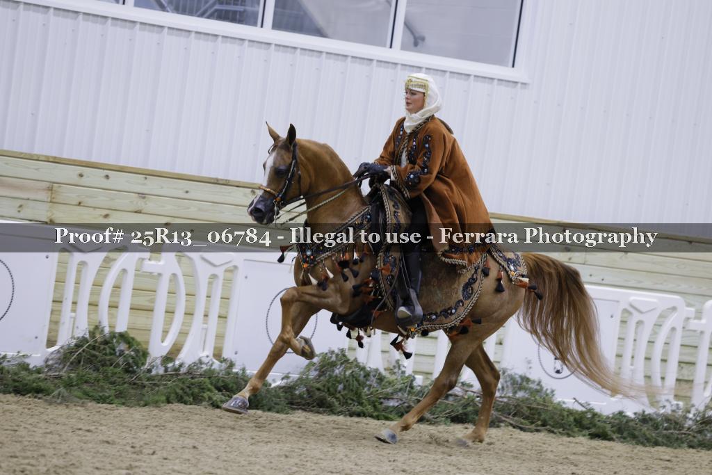 Proof Number 25R13_06784