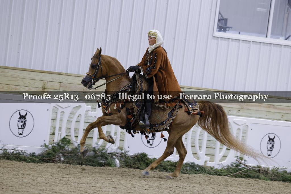 Proof Number 25R13_06785